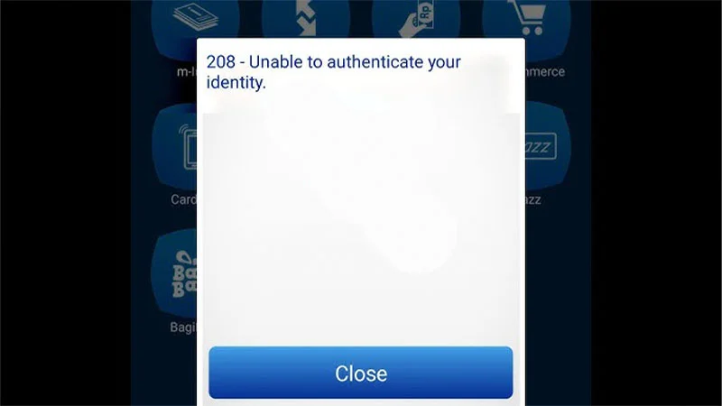 208-Unable-to-Authenticate-Your-Identity-Bca-Mobile